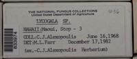 Image Associated With the Occurence